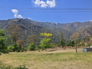 13 Bigha Plot For Sale Near APG University Shimla HP